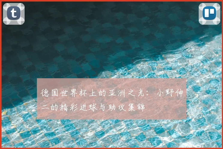 德国世界杯上的亚洲之光：小野伸二的精彩进球与助攻集锦