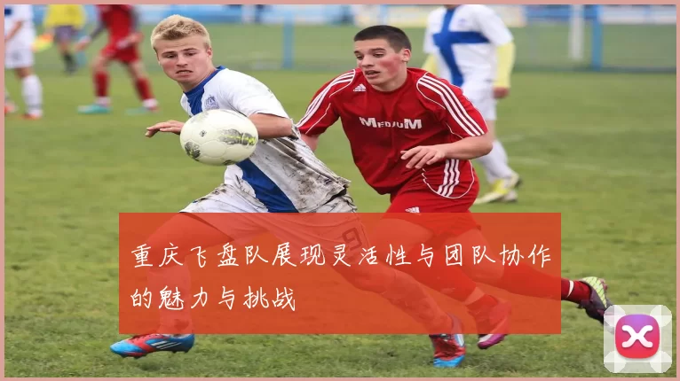 重庆飞盘队展现灵活性与团队协作的魅力与挑战
