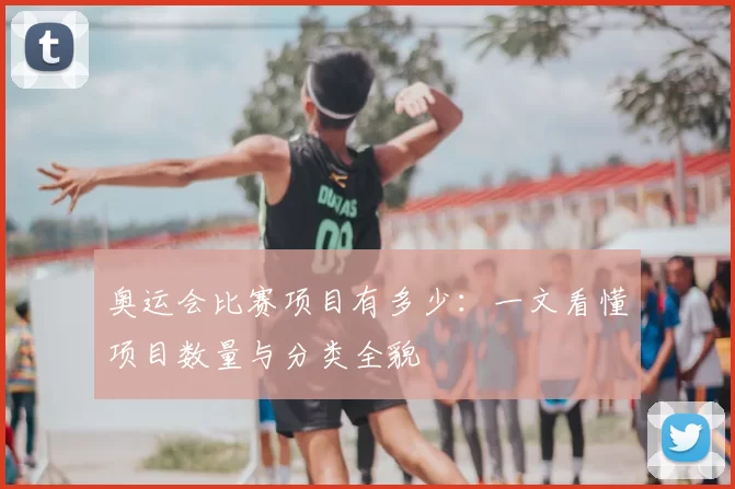 奥运会比赛项目有多少：一文看懂项目数量与分类全貌