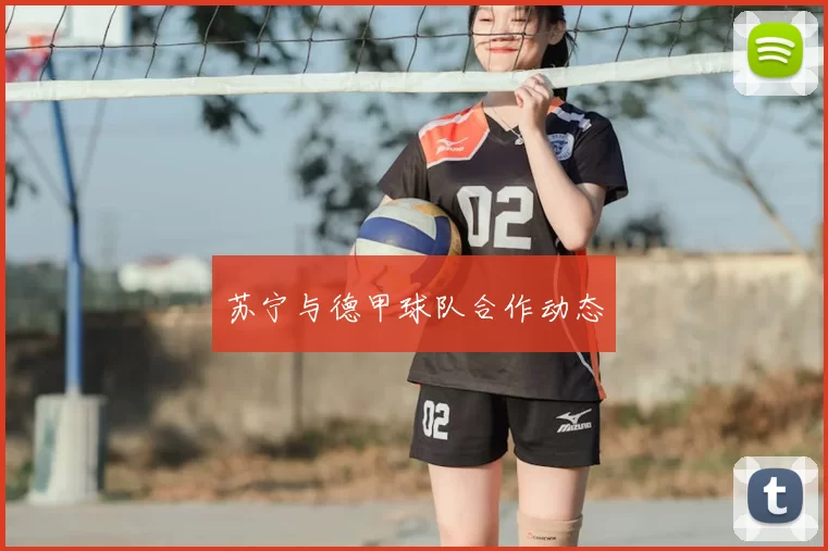 苏宁与德甲球队合作动态