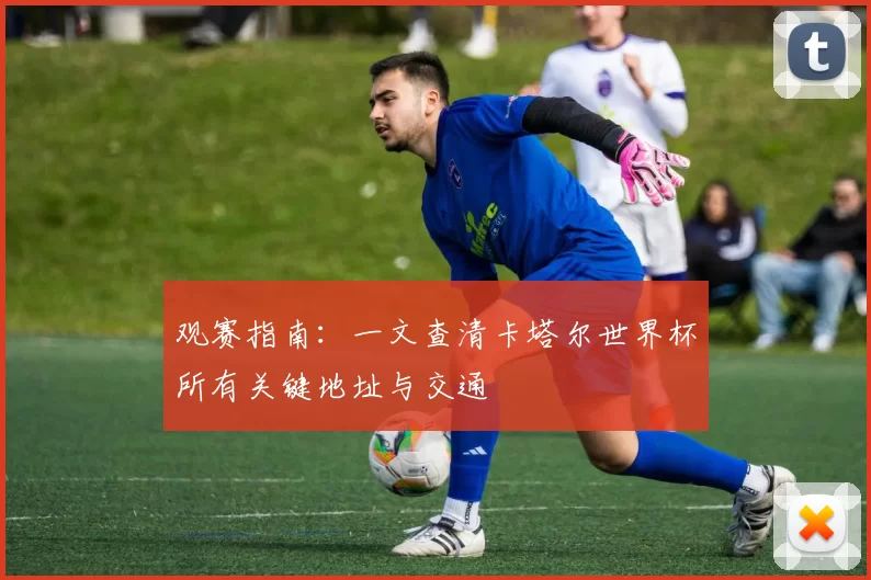 观赛指南：一文查清卡塔尔世界杯所有关键地址与交通