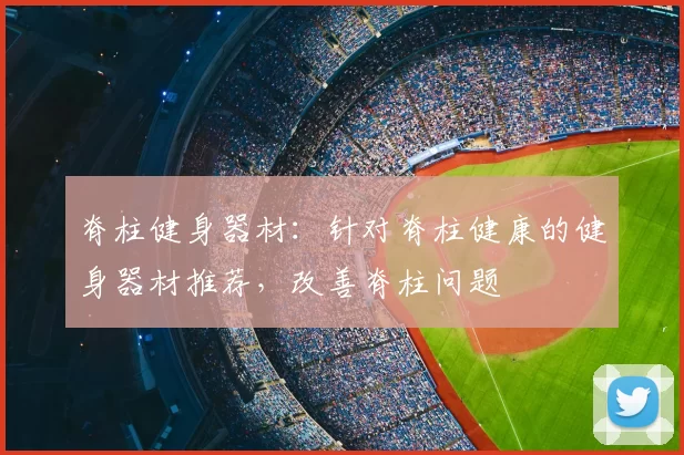 脊柱健身器材：针对脊柱健康的健身器材推荐，改善脊柱问题