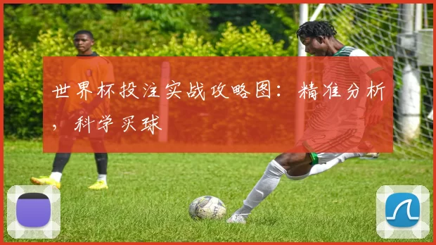 世界杯投注实战攻略图：精准分析，科学买球