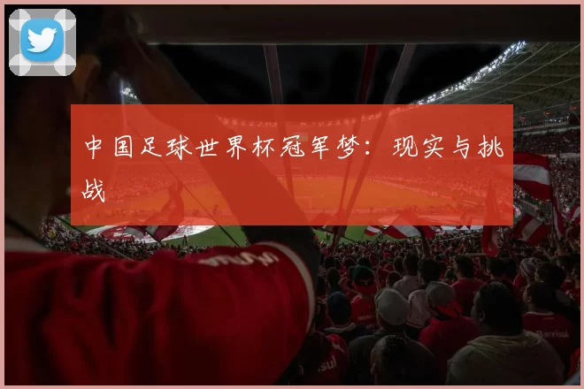 中国足球世界杯冠军梦：现实与挑战