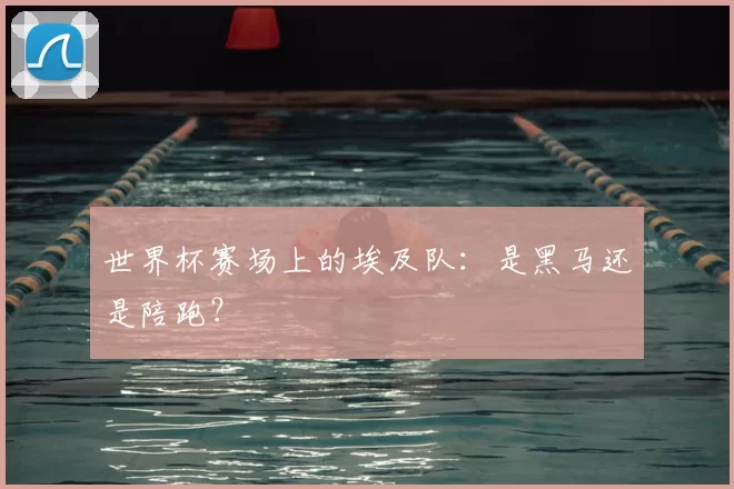 世界杯赛场上的埃及队：是黑马还是陪跑？