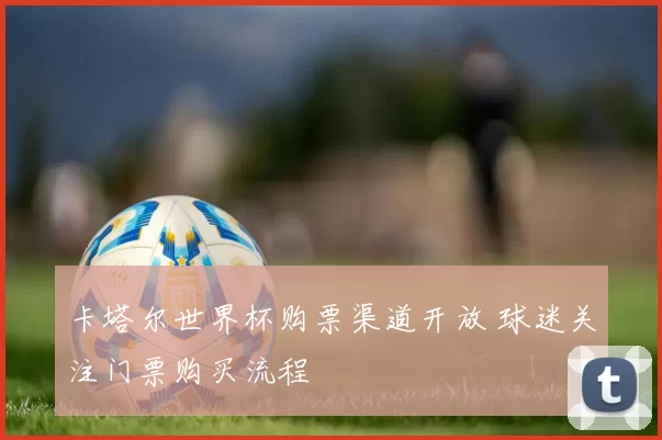 卡塔尔世界杯购票渠道开放 球迷关注门票购买流程