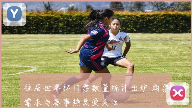 往届世界杯门票数量统计出炉 购票需求与赛事热度受关注