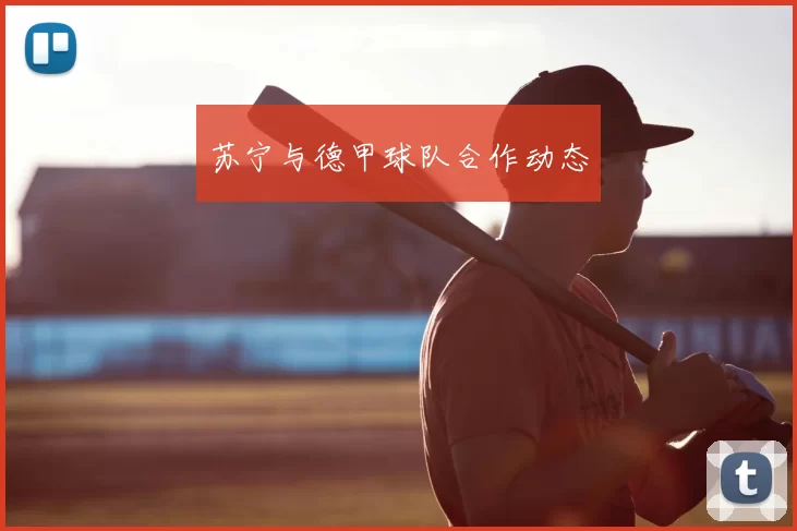 苏宁与德甲球队合作动态