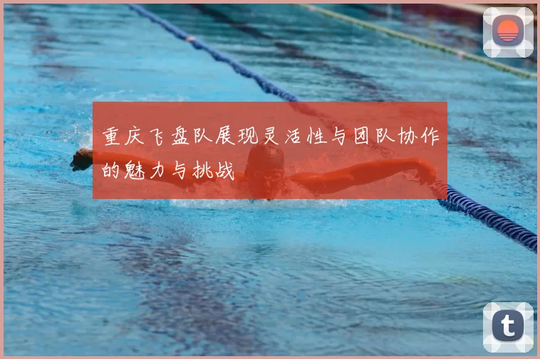重庆飞盘队展现灵活性与团队协作的魅力与挑战